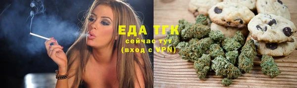 прущий лед Богданович