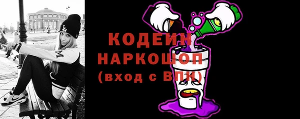 прущий лед Богданович