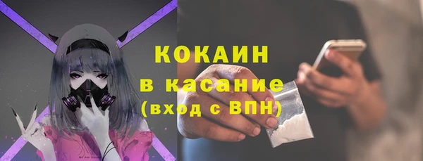 прущий лед Богданович