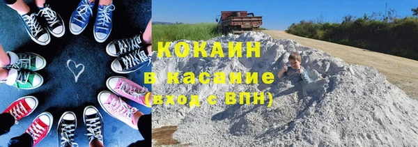 PSILOCYBIN Богородицк