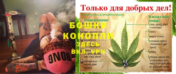 PSILOCYBIN Богородицк