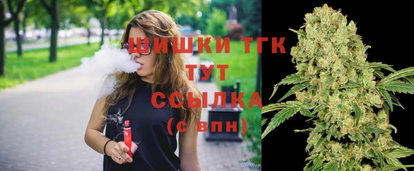 PSILOCYBIN Богородицк