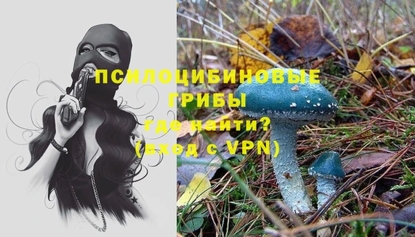прущий лед Богданович