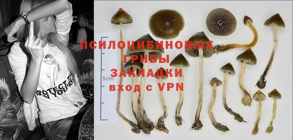 PSILOCYBIN Богородицк