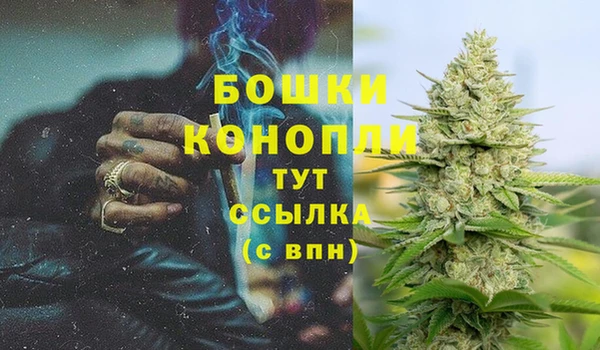 PSILOCYBIN Богородицк