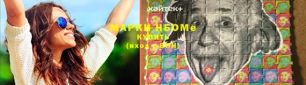 PSILOCYBIN Богородицк