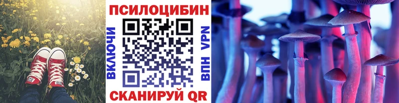 купить   Оха  Галлюциногенные грибы ЛСД 