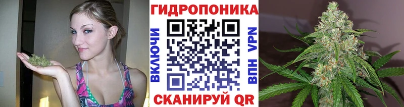 купить наркотик  Оха  Бошки марихуана Bruce Banner 